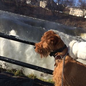 Meet your Posher, Kiva